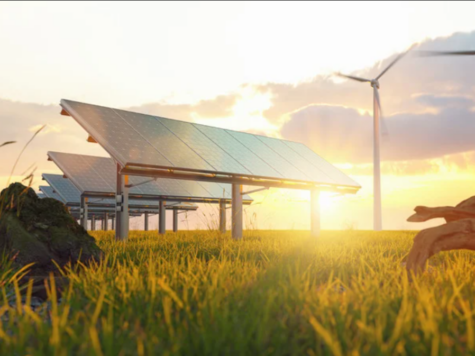 Betrek ondernemers bij Programma Nieuwe Energie Overijssel: Onze oproep gehoord
